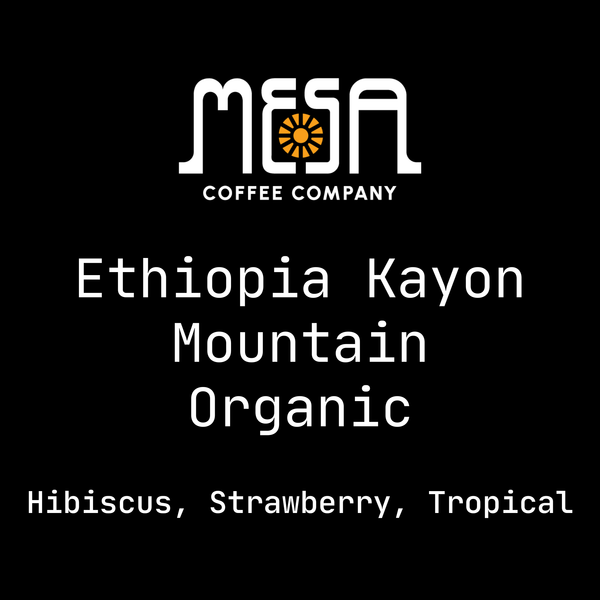 Ethiopia Kanyon Mountain Organic - Hibiscus, Strawberry, Tropical