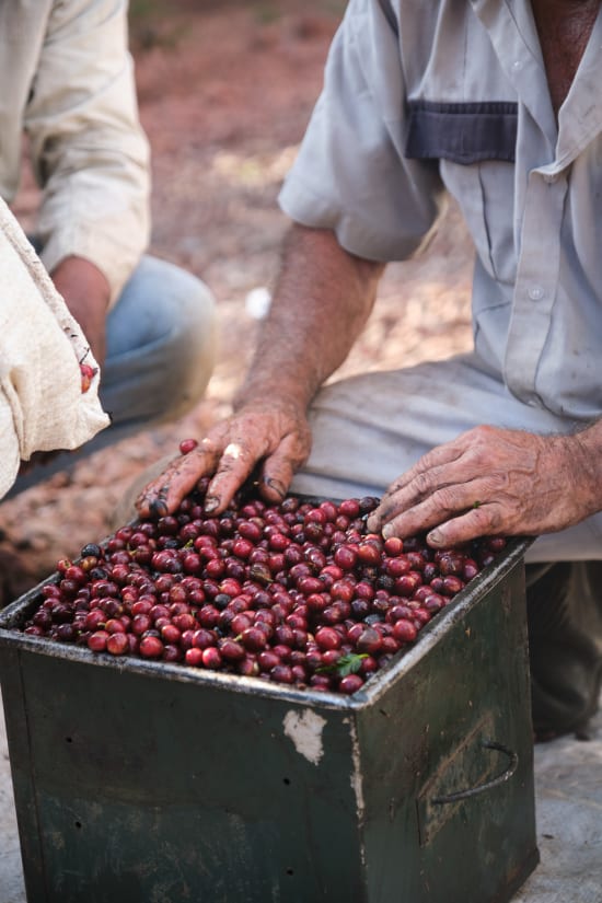 Costa Rica Don Sabino Micromill at origin