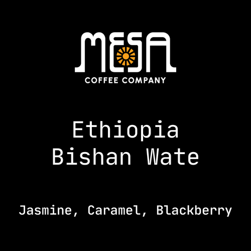 Ethiopia Bishan Wate - Jasmine, Caramel, Blackberry