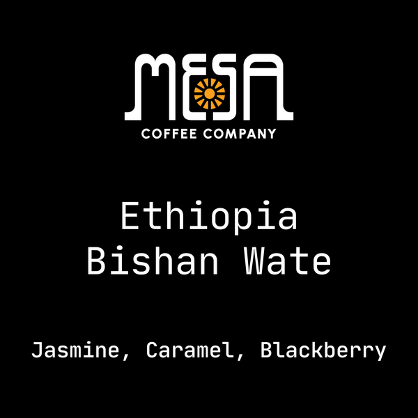 Ethiopia Bishan Wate - Jasmine, Caramel, Blackberry