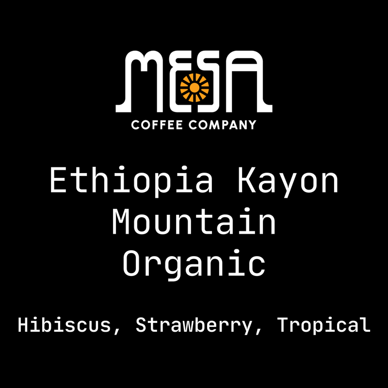 Ethiopia Kanyon Mountain Organic - Hibiscus, Strawberry, Tropical