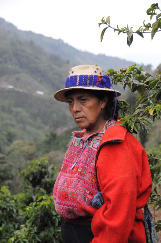 Guatemala Women CODECH FTO at origin