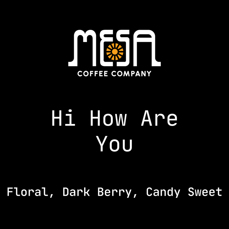 Hi, How are you - Floral, Dark Berry, Candy Sweet
